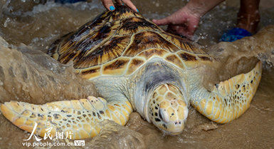 Wenchang, Hainan: kasa tisa warudi baharini