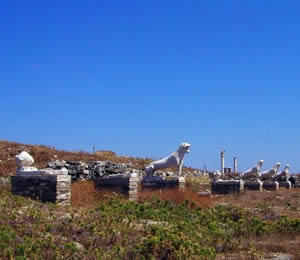 提洛島