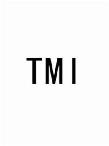 TMI[英語口語用語]