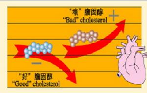 膽固醇