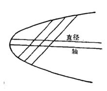 拋物線的直徑