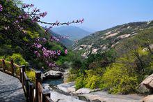 國家AAAA級旅遊景區——七峰山景區