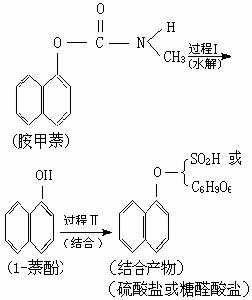 積分學