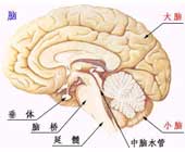 急性細菌性腦膜炎