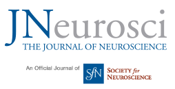 Journal of Neuroscience