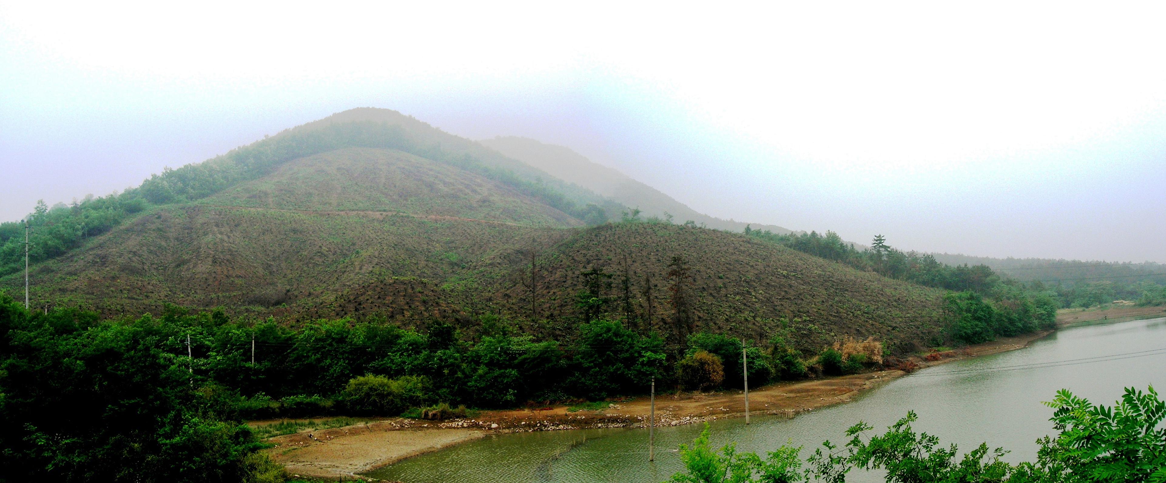 含山縣蒼山林場