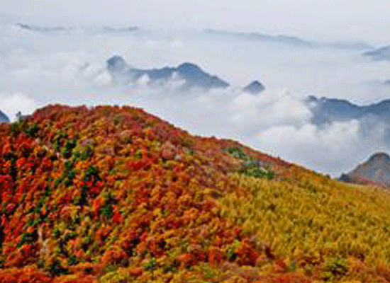 晉城(晉城市)