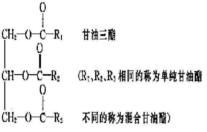 脂類分子式