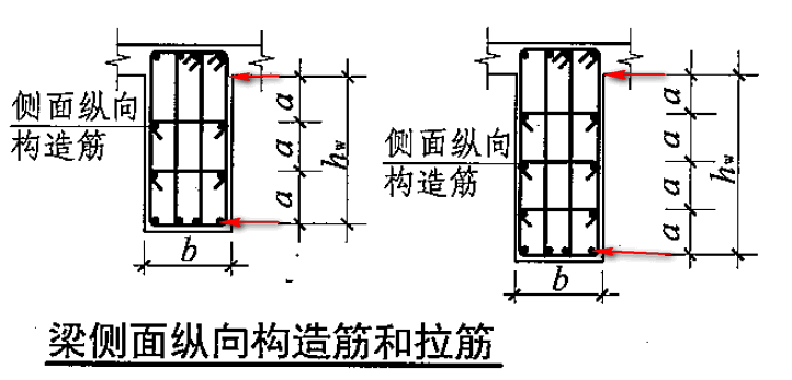 構造筋