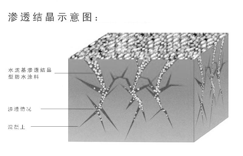 滲入