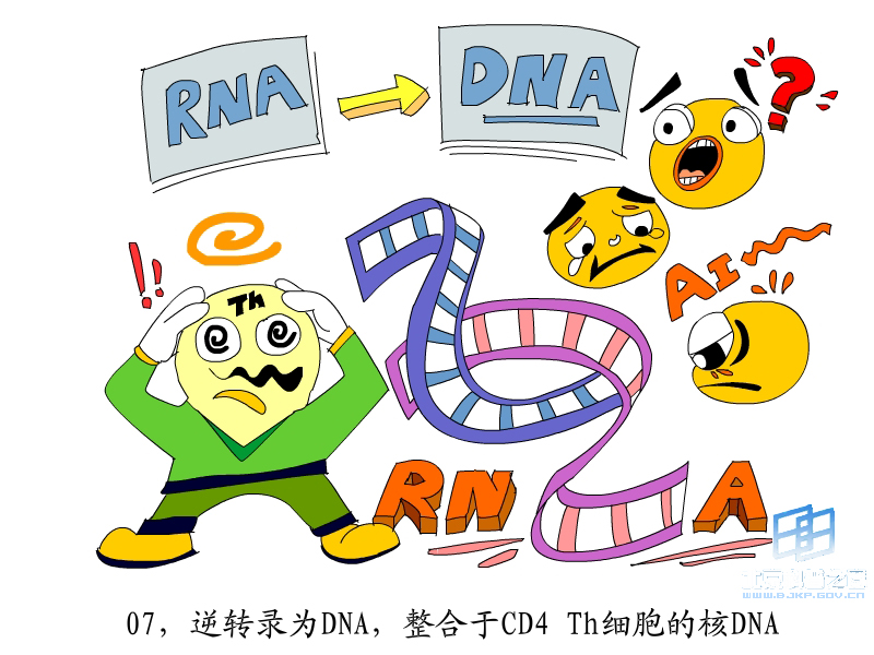 免疫問題典型笑話圖片