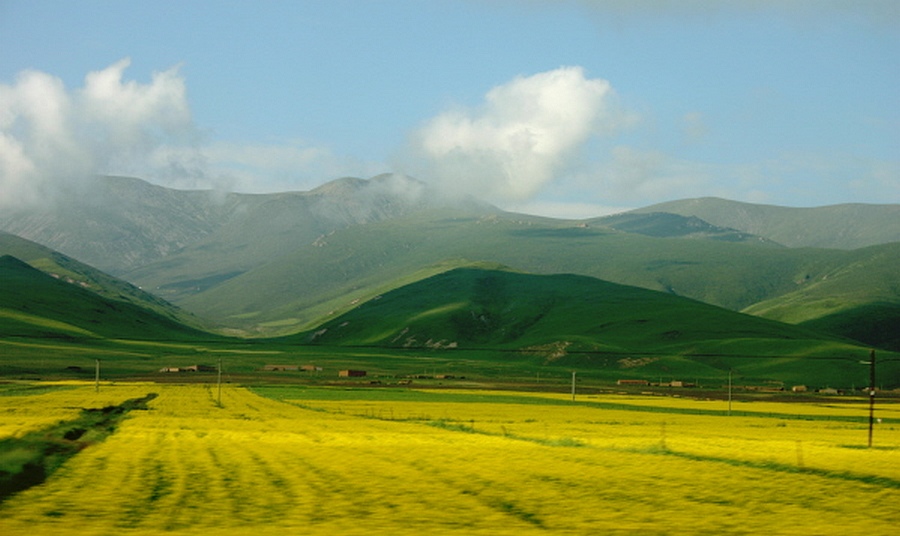 青海南山