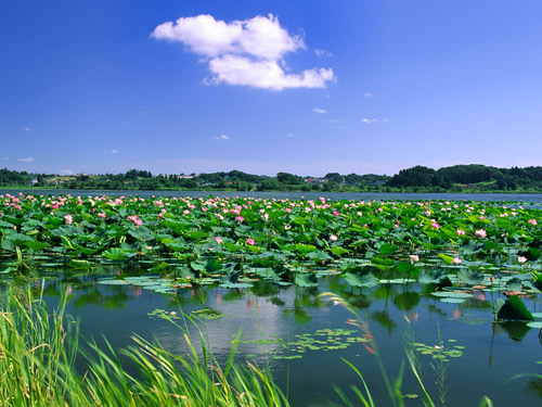 微山湖風景名勝區