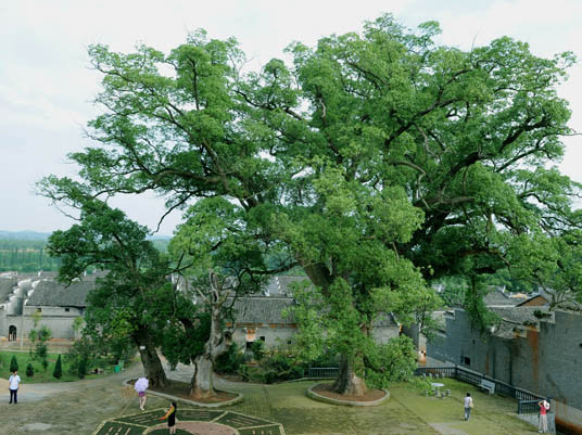 橫江鎮公塘村