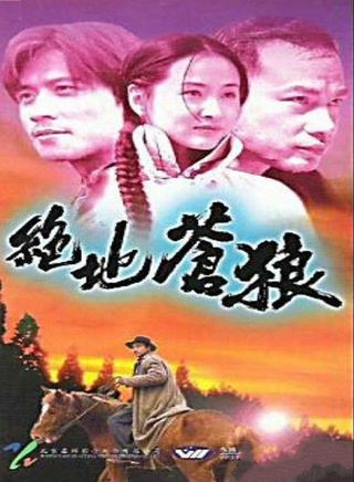 唐文龍(香港著名演員)