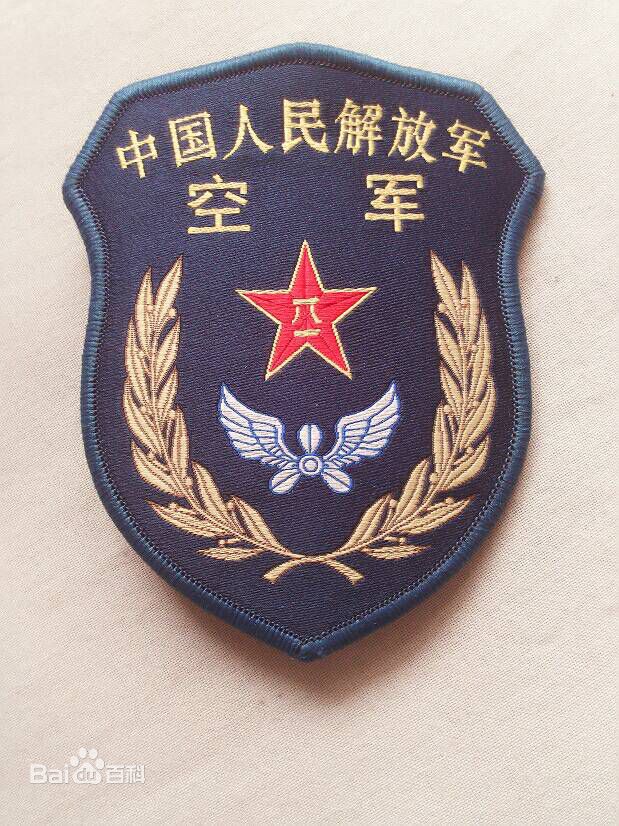 空軍(進行空中作戰的軍種)