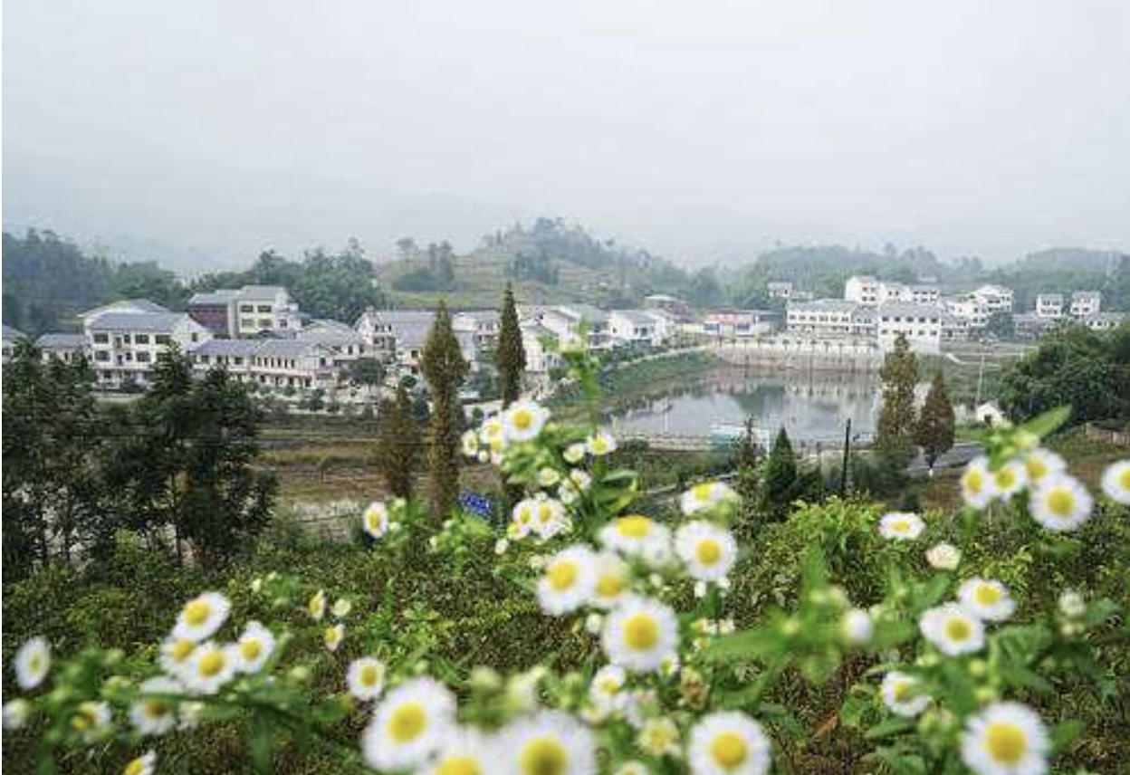 清水鎮(甘肅省武威市涼州區清水鎮)