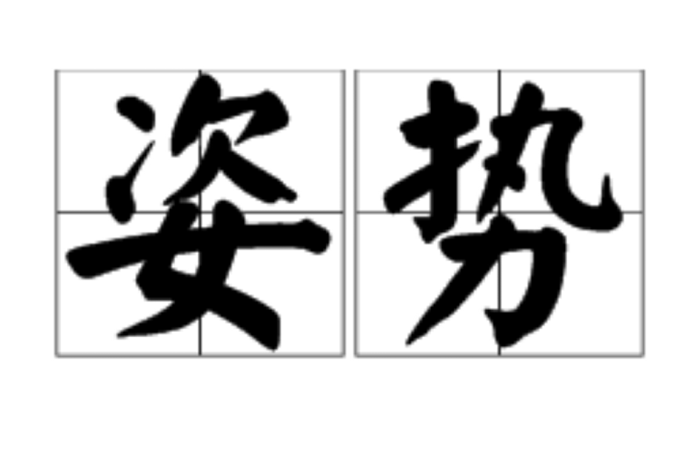 姿勢(詞語釋義)