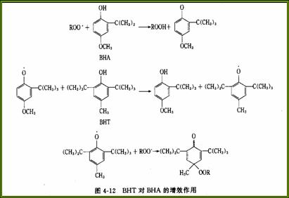 脂類分子式