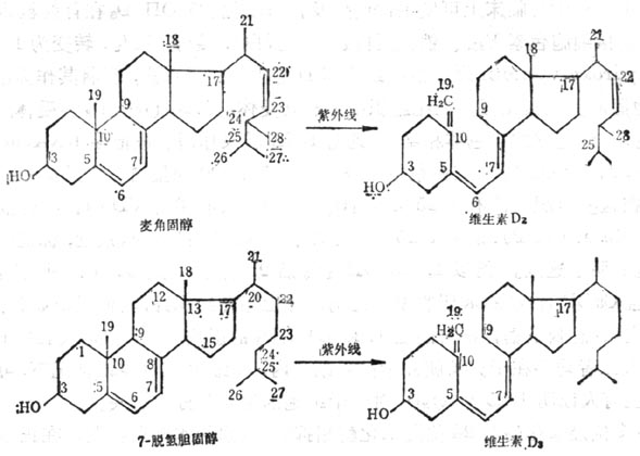 固醇