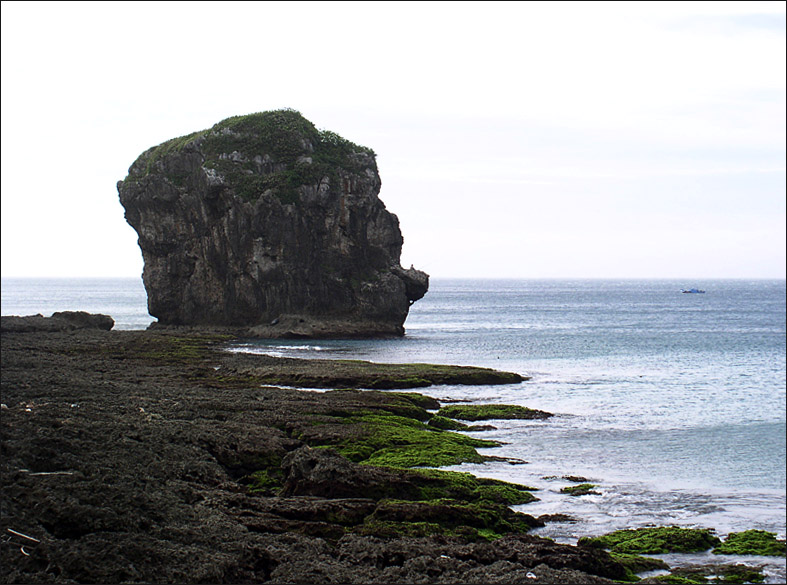 尼克森石