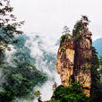 魯山縣(魯山（中國河南平頂山市下轄縣）)