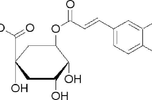 綠原酸