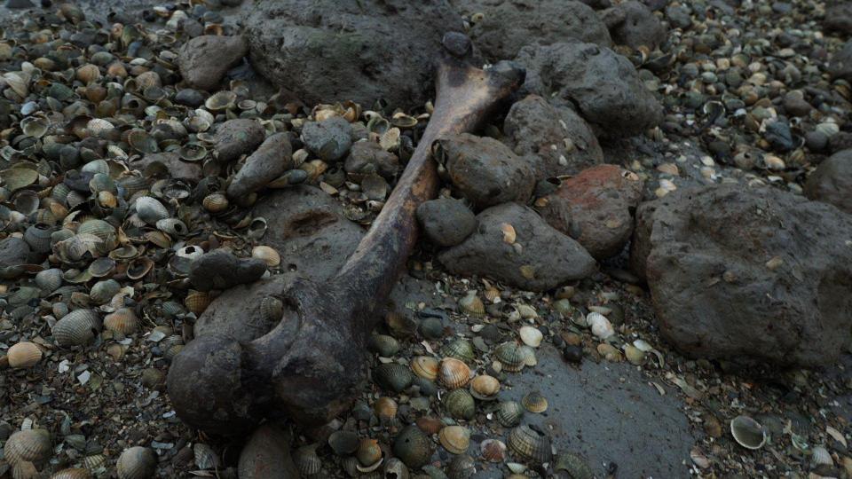 死亡島(英國肯特郡附近的小島)