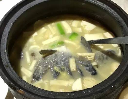 砂鍋雅魚