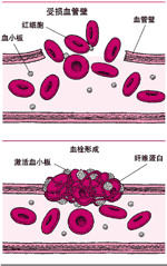 作用