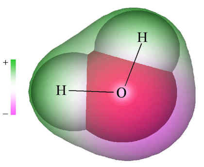 水分子