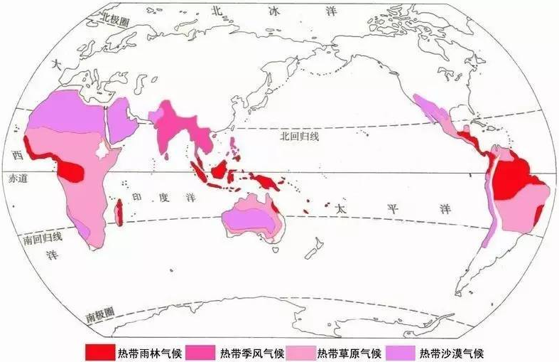 熱帶雨林氣候全球分布