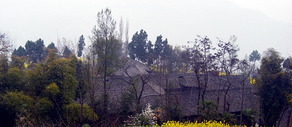 鹿鳴村(四川巴中通江縣瓦室鎮鹿鳴村)