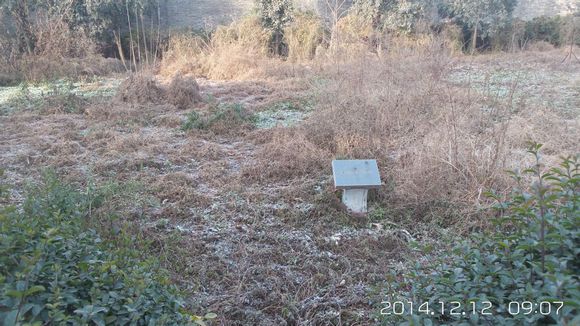 豐鎬遺址地貌