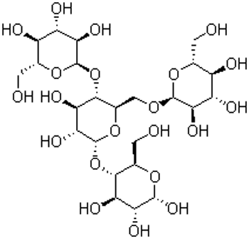 分子結構圖