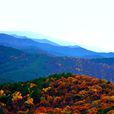 子午嶺(橋山（陝西省西部山脈）)