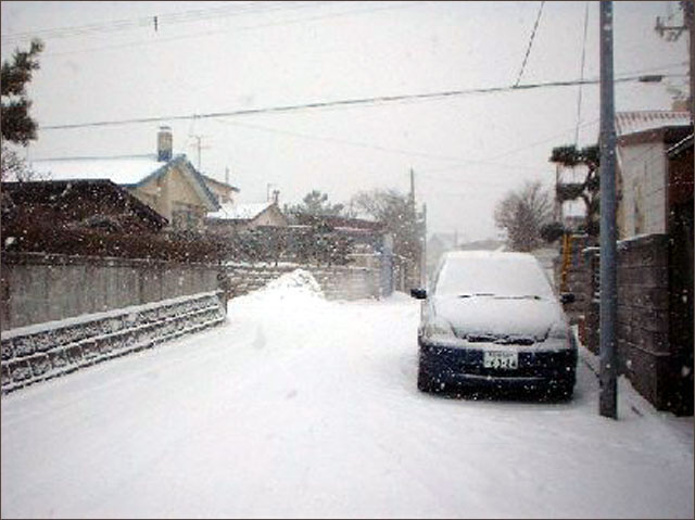 寒潮造成的大面積降雪