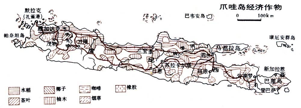 爪哇島經濟作物分布圖