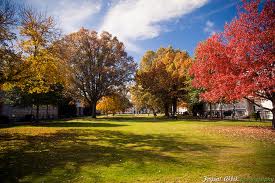 Emory Quad