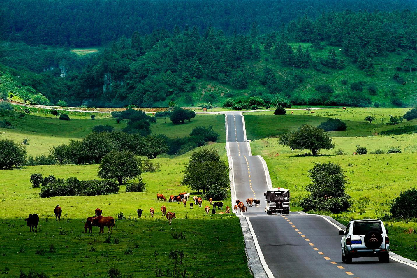 仙女山道路