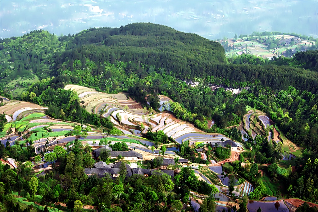 鹿鳴村(四川巴中通江縣瓦室鎮鹿鳴村)