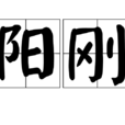 陽剛(詞語)