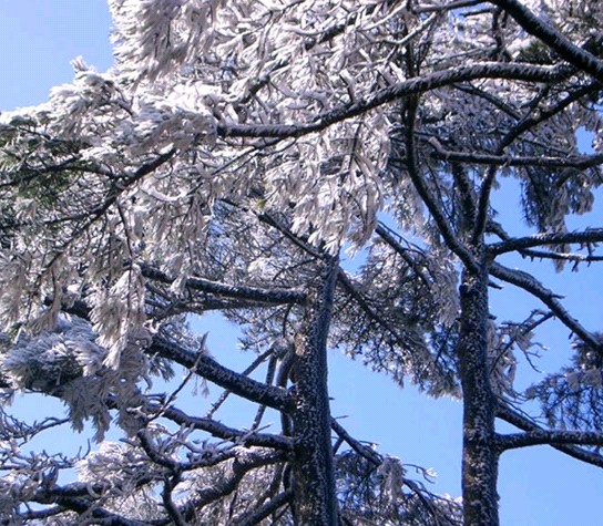 黃山(世界文化與自然雙重遺產，國家5A級旅遊景區)