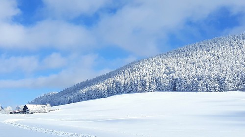 Snow in Neuchâtel | by stevenjeanneret