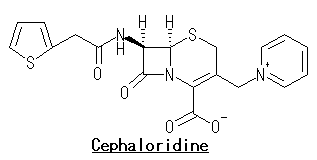 セファロリジン