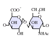 -{GlcA-GlcNAc}-