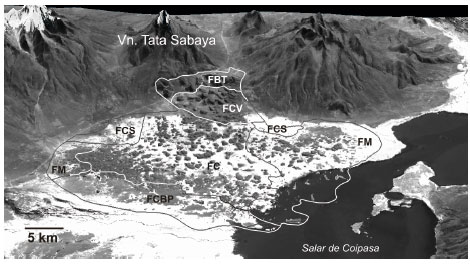 Debris avalanche profile