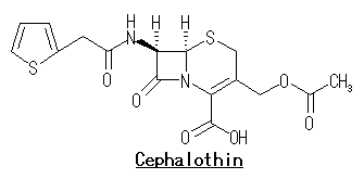 セファロチン