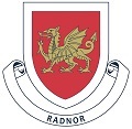 Radnor house badge