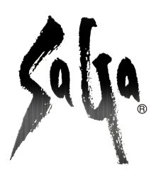 Stylized word SaGa; recurring version of the SaGa logo